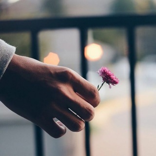 نبــــ͡ــ❣ــــــضهٰ̐ہ ¸ قلٖبٰۧ