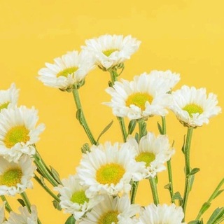 الله معك,فُـ لاتحزن🌻💛.