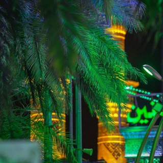 • لـ أهـَُـٰٰـٰٰل البيـَُـٰٰـٰٰت ⁽💚₎⇣℡