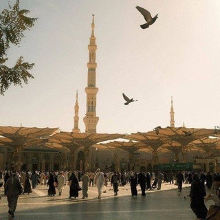 قناة || عمرو الحداد