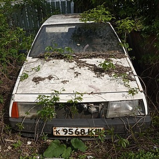 Брошенные Авто Самары