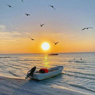 🌻 طبیعت زیبا "حس آرامش 🌻
