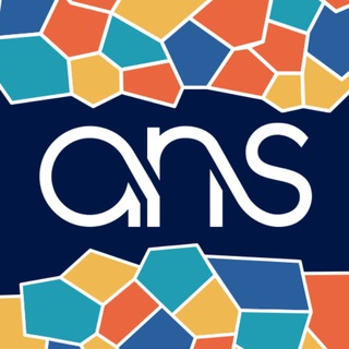 Affiliate Networking Series (ANS)