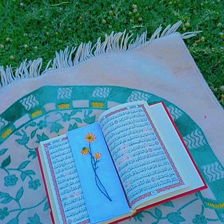 « افيـــــــــــاء ••🌱 »