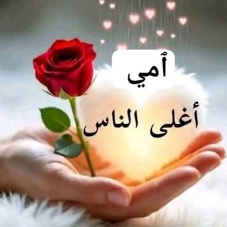 🌹🍃أجـمـل صـور🍃🌹