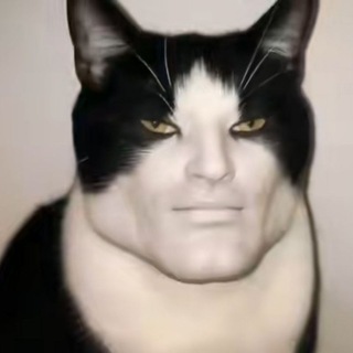 Логово MOGGSNICKERSA