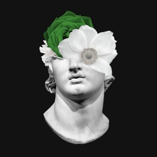 Ⓒ𝘈𝘎𝘌𝘕𝘋𝘈 (✶) 𝘉𝘌𝘙𝘚𝘜𝘈𝘙𝘈