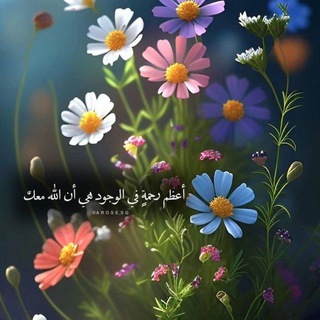 🌩همسات لطیفه ❤️