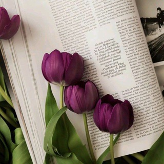 هدوء_Quiet💜'