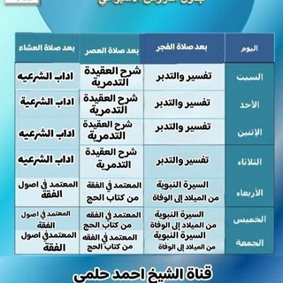 قناة / أحمد حلمي