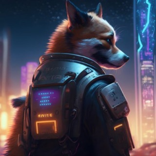 Aidoge Coin