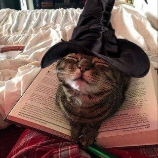 акунота таро🎃