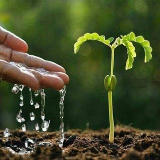تعلم التحدث بالعربية { التعلم بالتكلم }