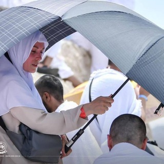 نَبض ..🌸