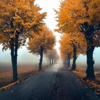 الطريق الصحيح🧡🍂