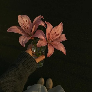 It's me, Ela~