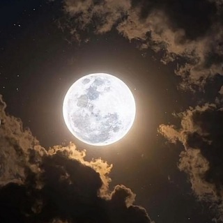 روقـــان الــقـ🌗ـمـــر