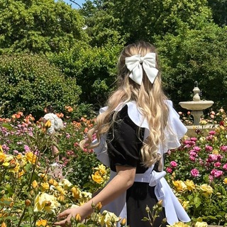 Alice in wonderland🪄