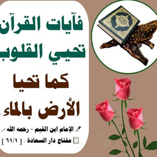 🌸 خـــــــالِــــــقُـــنــــــا 🌸