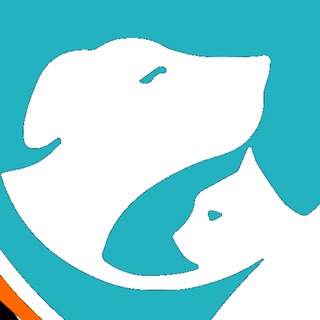 Приют для собак 🐶 Зоопансионат Альма 🏡 Воронеж