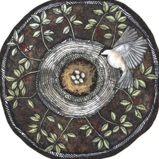 نُدبة