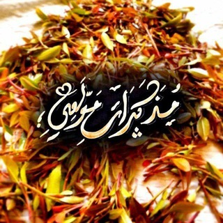مذكرات مولعي🍃❥