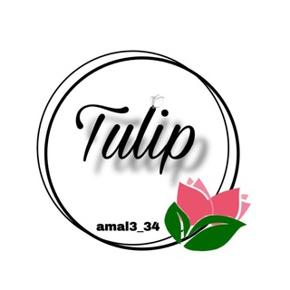 🌷Tulip 🌷