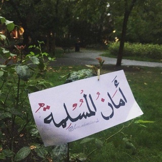 أمان المسلمة في زمان الفتن