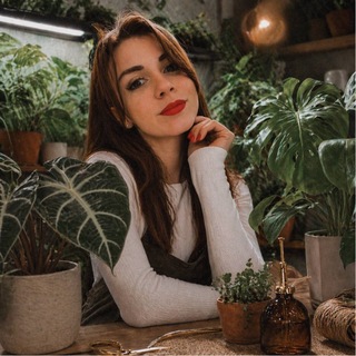 angelia 🌿
