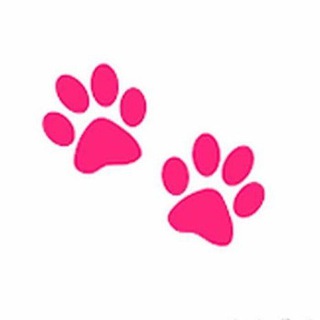 Animals_Life | Жизнь Животных | Породы собак | Юмор | Выставки собак | Кинология | Дрессировка