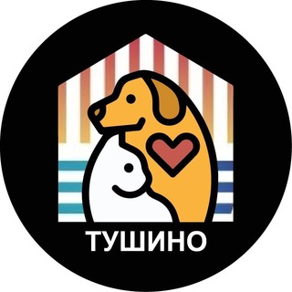 Потеряшки и бездомные животные Города на реке Тушино-2018