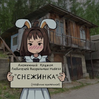 АКЛВН «Снежинка»