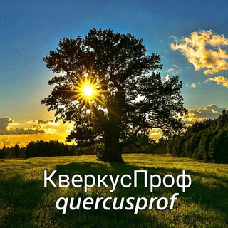 «Столярное Ателье Севастополь» / «КверкусПроф»