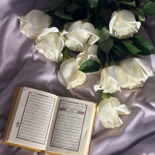 معا نرتقي 💕✨
