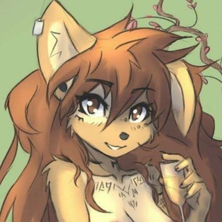 Apogee ARCHIVE