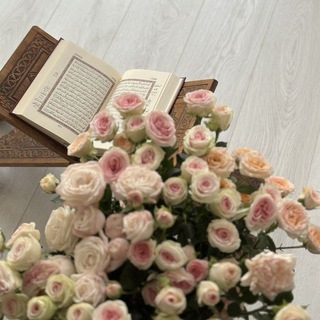 - مَــآبْ .