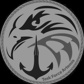 Task Force Artemis⚓️