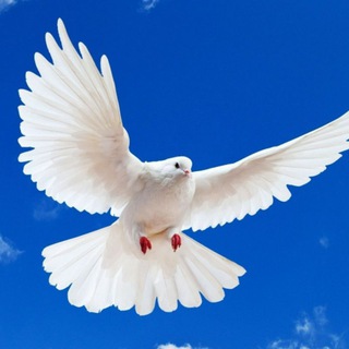 Христианские проповеди АСД