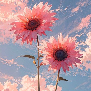 لـِ سَـمسـومَـه 𐚁̸ ֺ۪ 🌷