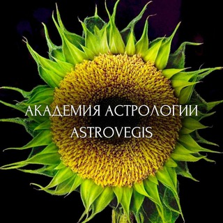 Аватар канала АСТРОЛОГИЯ АКАДЕМИЯ ASTROVEGIS @astrovegis_academy