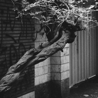 Edge of Darkness?