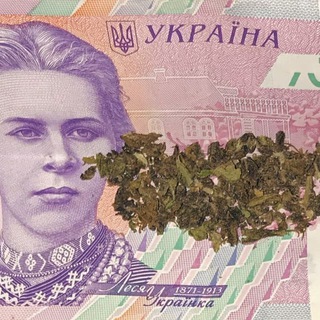 audi tt soset y tavryxi