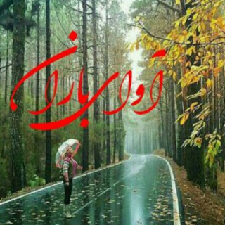 آوای باران✍🍃
