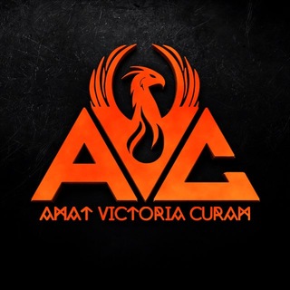 AVC Group