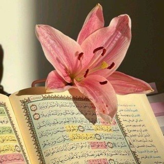 ـ ذاتُ أثَــــــــر︙💗