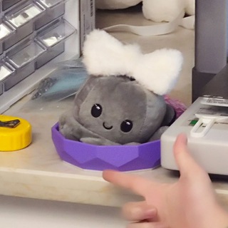 小桂桂的回忆录 📒