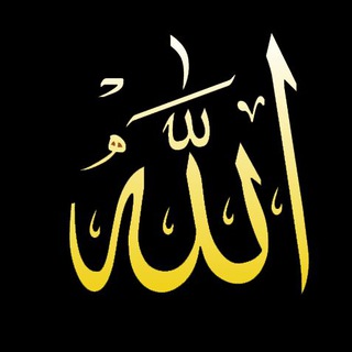 نورُ القلوبِ