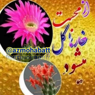 𒆜🧜‍♂از مُحَبَت خارها گُل میشَوَد🧜‍♂𒆜