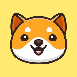 Baby Doge Chat