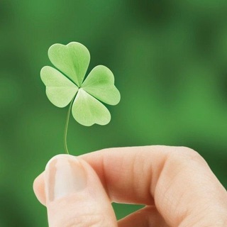 بـــــღـــــار ـــــــبــــزم ☘
